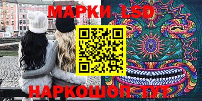 гашик Донецк