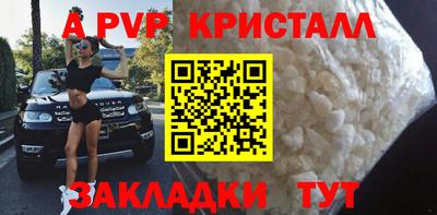 гашик Донецк