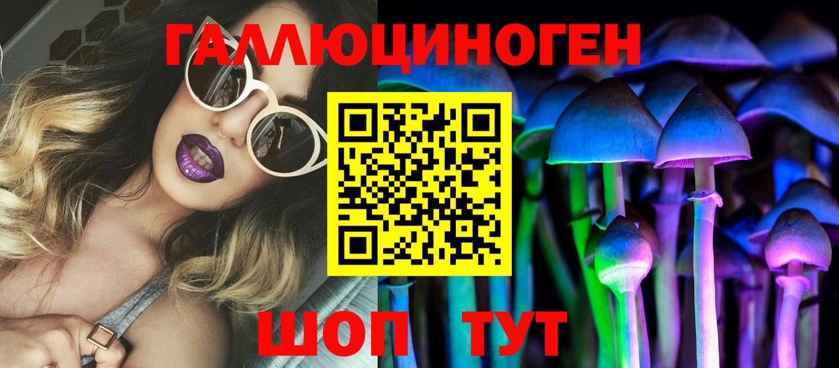 Псилоцибиновые грибы мицелий  Вход с VPN  Электросталь  Псилоцибиновые грибы Psilocybine cubensis 
