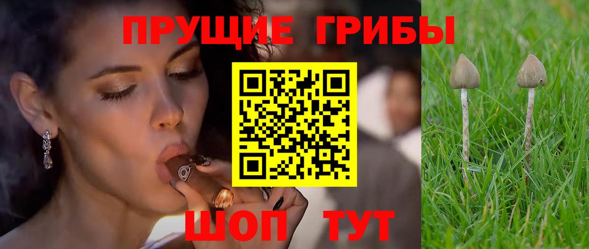 Галлюциногенные грибы ЛСД Электросталь