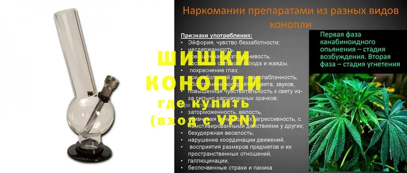 Каннабис гибрид  Электросталь 